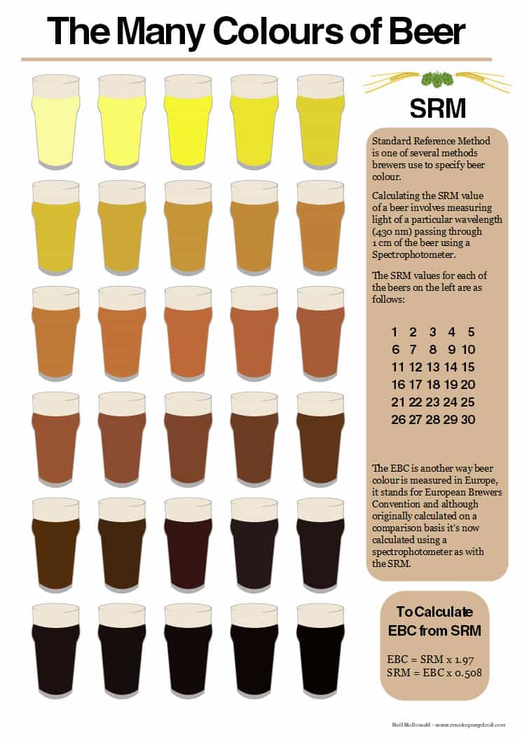 Beer Color Infographic