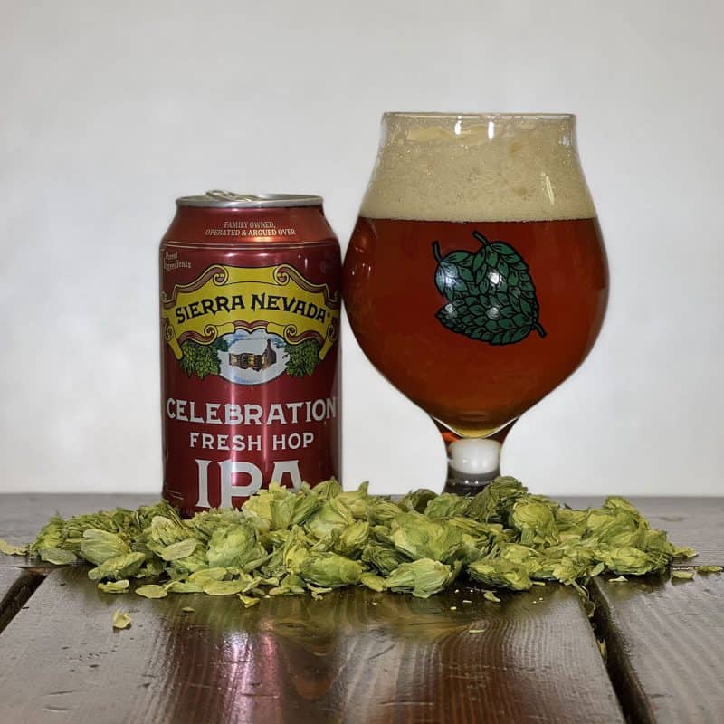 Can of Sierra Nevada Brewing Celebration Fresh Hop IPA next to a glass of beer, surrounded by hops.